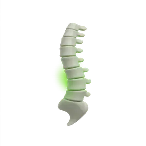 Spine Alignment Icon